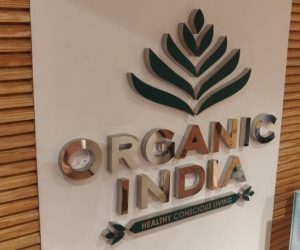 Channel Letters, Stainless Steel Letters